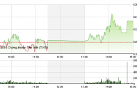 Phiên 2/6: Sóng cổ phiếu đầu cơ, VN-Index vượt ngưỡng 620 điểm