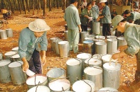 2 cổ phiếu cần quan tâm ngày 7/6