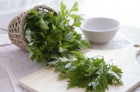 Tác dụng phong thủy của cây ngải cứu