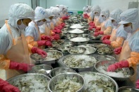 17 cơ sở chế biến thủy sản Việt Nam được xuất khẩu vào Cộng hoà Panama
