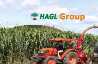 Hoàng Anh Gia Lai nợ hơn 33.000 tỷ đồng, mỗi ngày trả 5,6 tỷ đồng tiền lãi