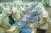 Doanh nghiệp thủy sản vẫn gặp vướng mắc trong kiểm dịch