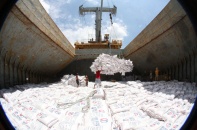 Các doanh nghiệp cần cẩn trọng khi xuất gạo sang Mỹ