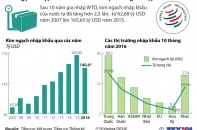 [Infographics] Kim ngạch nhập khẩu sau 10 năm Việt Nam gia nhập WTO