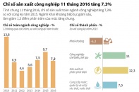 [Infographic] Chỉ số sản xuất công nghiệp 11 tháng 2016 tăng 7,3%