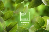 Xanh lá cây Greenery được chọn làm màu của năm 2017