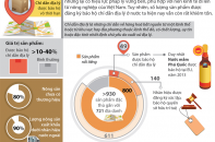 [Infographic] Xây dựng giá trị thương hiệu qua chỉ dẫn địa lý
