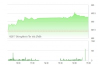 Phiên 24/1: Hàng loạt cổ phiếu tăng trần, VN-Index vượt mốc 690 điểm