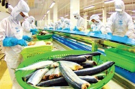 Thu về khoảng 2,54 tỷ USD từ xuất khẩu nông lâm thủy sản tháng Tết