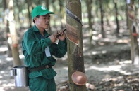 Hàng loạt doanh nghiệp nông nghiệp "khủng" sắp tiến hành IPO