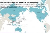 [Infographic] Việt Nam - thành viên chủ động, tích cực trong APEC