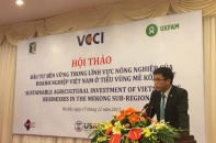 Đầu tư ra nước ngoài, doanh nghiệp Việt cần lưu ý gì?