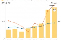 [Infographic] Vốn FDI trong 2 tháng đạt 3,4 tỷ USD