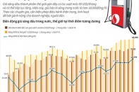 [Infographic] Biến động giá xăng dầu trong nước, thế giới