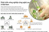 [Infographic] Phát triển nông nghiệp công nghệ cao ở Việt Nam