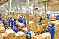 Thông báo đăng ký mua cổ phần khối lượng lớn qua đấu giá