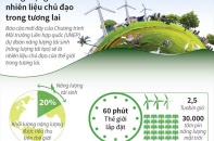 [Infographic] Năng lượng tái sinh - nhiên liệu chủ đạo trong tương lai