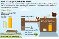 [Infographic] Kinh tế trang trại phát triển nhanh