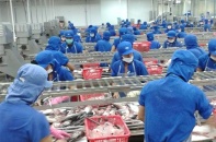 Đầu tư 106 tỷ đồng cho giám sát dịch bệnh trên tôm và cá tra 