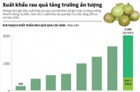 [Infographic] Xuất khẩu rau quả tăng trưởng ấn tượng