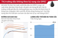 [Infographic] Thị trường dầu không theo kỳ vọng của OPEC