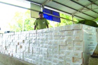 Chỉ đạo của Thủ tướng Chính phủ Nguyễn Xuân Phúc về việc xử lý thuốc lá ngoại nhập lậu bị tịch thu