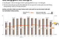 [Infographic] Giá xăng giảm 309 đồng/lít