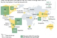 [Infographic] Cây trồng biến đổi gene tại 26 nước trong năm 2016