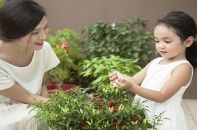 Căn hộ cao cấp dành 2.000 m2 sân chơi cho con trẻ
