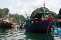 Bảo hiểm tàu cá: Dư địa lớn nhưng "khó xơi"