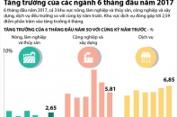 [Infographic] Tăng trưởng của các ngành 6 tháng đầu năm 2017