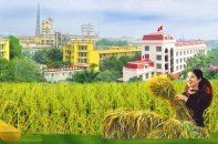 272,2 triệu cổ phiếu Đạm Hà Bắc "ghi danh" lên sàn UPCoM