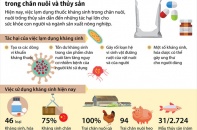 [Infographic] Lộ trình quản lý thức ăn chứa kháng sinh trong chăn nuôi và thủy sản