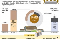 [Infographic] Trên 5.600 hợp tác xã được thành lập mới