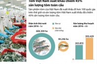 [Infographic] Tôm Việt Nam xuất khẩu chiếm 45% sản lượng tôm toàn cầu