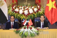 Chủ tịch nước Trần Đại Quang hội đàm với Tổng thống Ai Cập Abdel Fattah Al Sisi