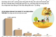 [Infographic] Hơn 27.000 hộ nông dân đạt thu nhập trên 1 tỷ đồng một năm