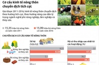 [Infographic] Cơ cấu kinh tế nông thôn chuyển dịch tích cực