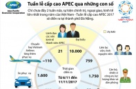 [Infographic] Tuần lễ Cấp cao APEC qua những con số