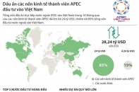 [Infographic] Dấu ấn các nền kinh tế thành viên APEC đầu tư vào Việt Nam