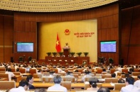 Quốc hội Thông qua dự án Luật Lâm nghiệp