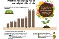 [Infographic] Phát triển nông nghiệp hữu cơ - xu thế phát triển tất yếu