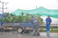 Dự báo thời tiết hôm nay 11/2: Bắc Bộ và Trung Bộ mưa rét, vùng núi cao có thể có băng giá