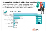 [Infographic] Cả nước có hơn 561.000 doanh nghiệp đang hoạt động