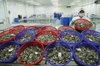 Thị trường chứng khoán: Cổ phiếu hưởng lợi từ CPTPP dè dặt chờ chuyển biến