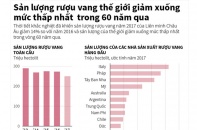 [Infographic] Sản lượng rượu vang thế giới giảm xuống mức thấp nhất trong 60 năm qua