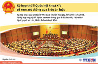 [Infographic] Kỳ họp thứ 5 Quốc hội khoá XIV sẽ xem xét thông qua 8 dự án luật