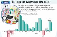 [Infographic] Chỉ số giá tiêu dùng tháng 5 tăng 0,55% 