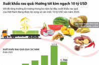 [Infographic] Xuất khẩu rau quả hướng tới kim ngạch 10 tỷ USD