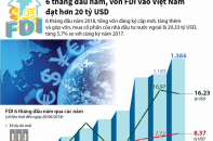 [Infographic] 6 tháng đầu năm, vốn FDI vào Việt Nam đạt hơn 20 tỷ USD